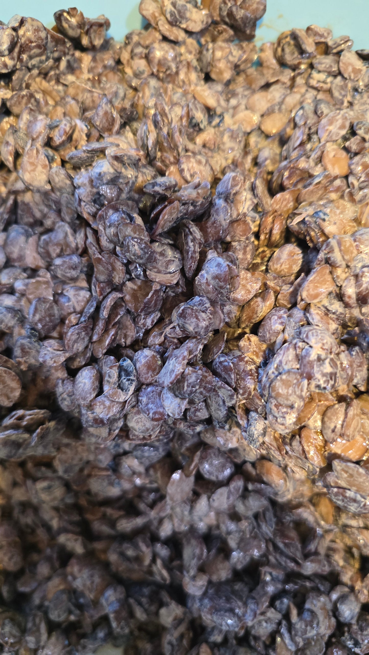 Fresh locust beans/ Iru